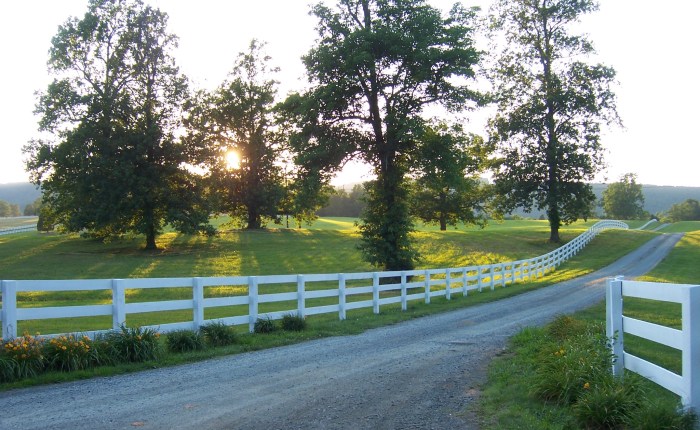 The Numbing Syndrome