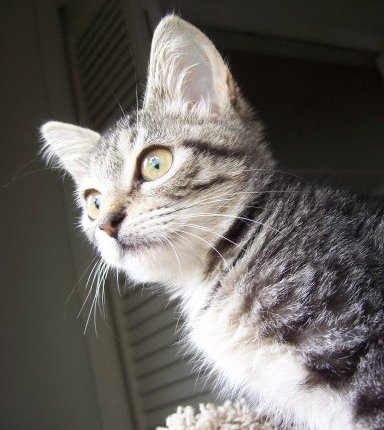 A Note of&nbsp;Caution