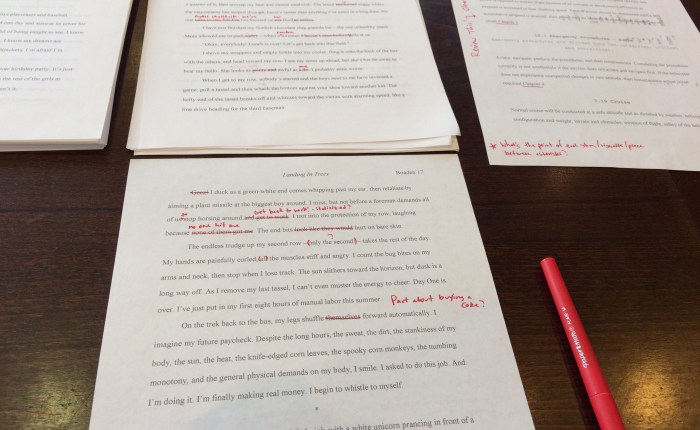 When Life Hands You&nbsp;Lemons…