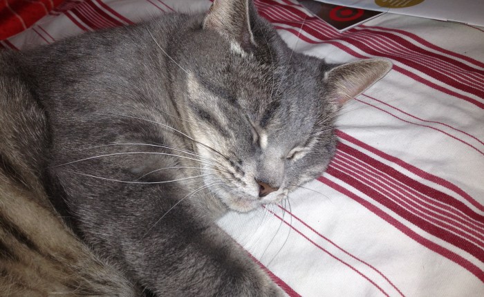 You Know You’re Nesting&nbsp;When…