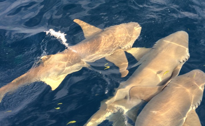 Packing for the&nbsp;Hospital