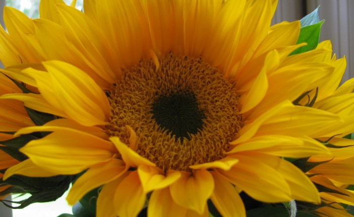 It’s Not For&nbsp;You