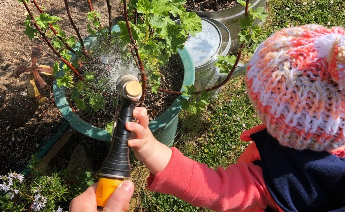 Love in the Time of Lockdown, Part&nbsp;2