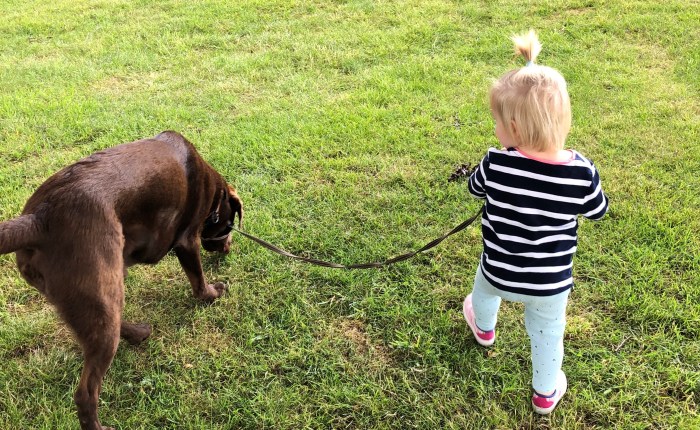 Love in the Time of Lockdown, Part 5