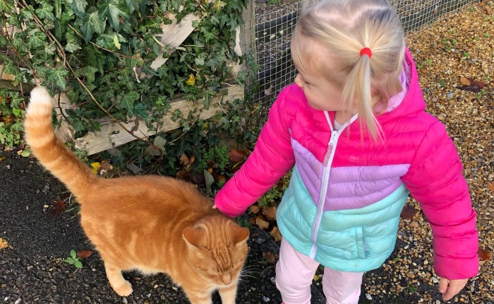 My Toddler is a&nbsp;Jerk