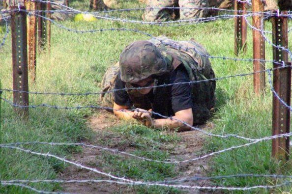 Buckle Up, Buttercup